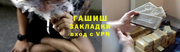 крисы Богородицк
