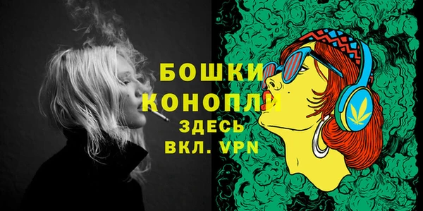 дурь Богданович