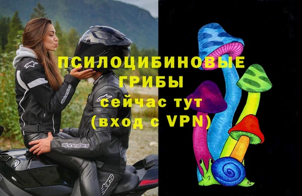 дурь Богданович