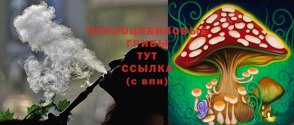 крисы Богородицк