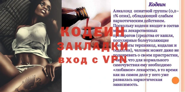 крисы Богородицк