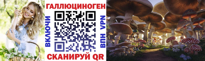 кракен   где купить наркоту  Кочубеевское  Галлюциногенные грибы Cubensis 